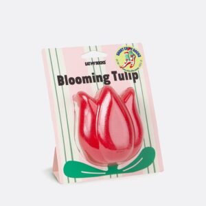 Eat my socks- blooming tulip.